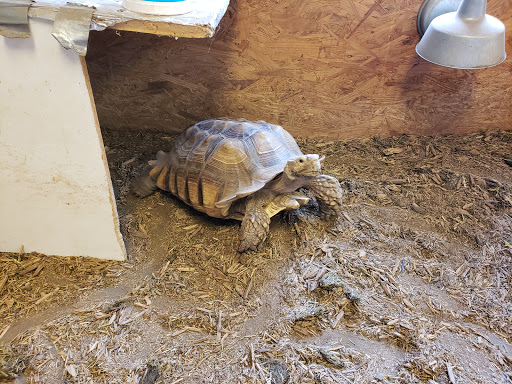 Hiking Area «The Pratt Center», reviews and photos, 163 Paper Mill Rd, New Milford, CT 06776, USA