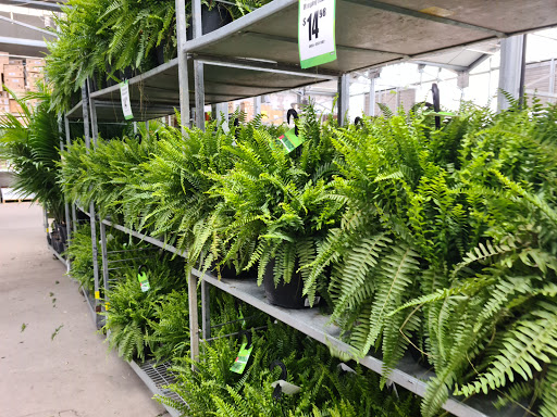 Home Improvement Store «The Home Depot», reviews and photos, 503 New Park Ave, West Hartford, CT 06110, USA