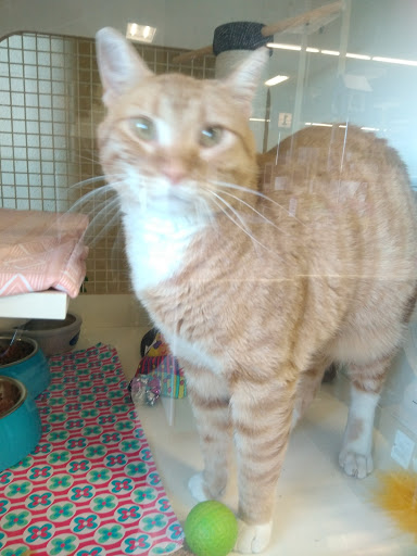 Pet Supply Store «Petco Animal Supplies», reviews and photos, 1930 SW Wanamaker Rd, Topeka, KS 66604, USA