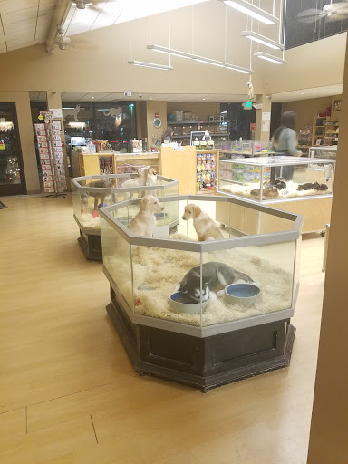 Pet Store «Perfect Pets», reviews and photos, 6840 S University Blvd #410, Centennial, CO 80122, USA