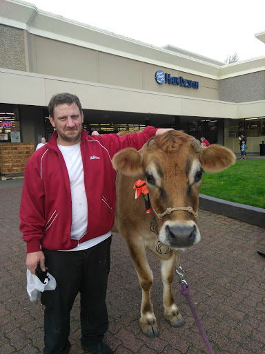 Craft Store «Michaels», reviews and photos, 1900 McLoughlin Blvd Ste 90, Oregon City, OR 97045, USA