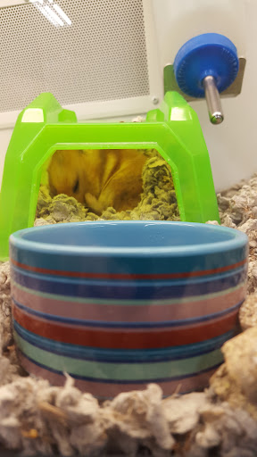 Pet Supply Store «Petco Animal Supplies», reviews and photos, 1141 Wantagh Ave, Wantagh, NY 11793, USA