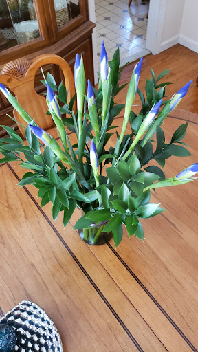 Florist «Floral Expressions», reviews and photos, 91 Main St, Woodbridge, NJ 07095, USA