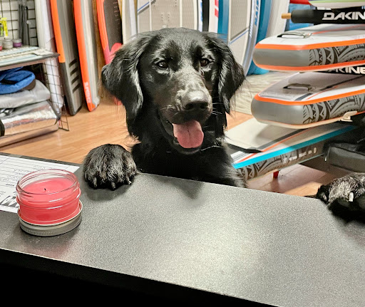 Water Sports Equipment Rental Service «Great Lakes Surf Shop», reviews and photos, 23517 9 Mack Dr, St Clair Shores, MI 48080, USA