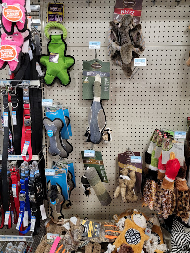 Home Improvement Store «Tractor Supply Co.», reviews and photos, 5940 New Jesup Hwy, Brunswick, GA 31523, USA