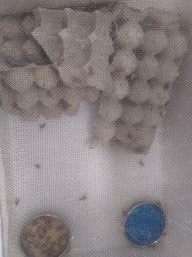 Pet Supply Store «Pet Supermarket, Inc.», reviews and photos, 18445 US-41, Lutz, FL 33549, USA