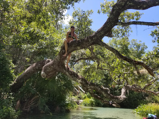 State Park «Kelly Park», reviews and photos, 400 E Kelly Park Rd, Apopka, FL 32712, USA