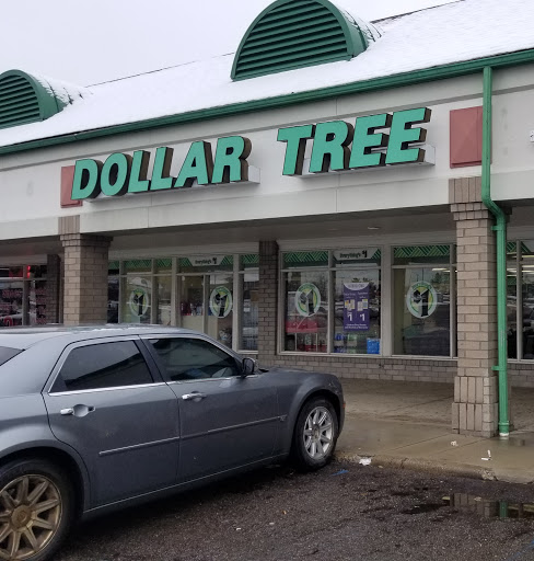 Dollar Store «Dollar Tree», reviews and photos, 266 N Telegraph Rd, Pontiac, MI 48341, USA
