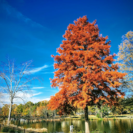 Golf Club «Golf Club At Cuscowilla», reviews and photos, 126 Cuscowilla Dr, Eatonton, GA 31024, USA