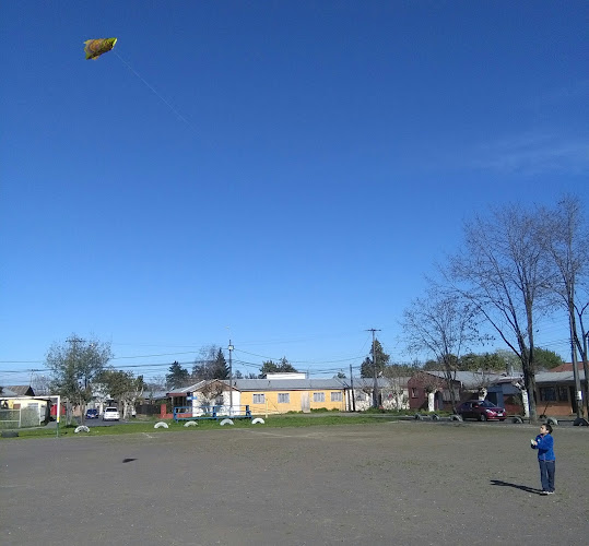 Opiniones de Cancha De Fútbol Población Purén en Chillán - Campo de fútbol