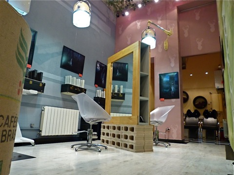 Le Salón  d'Apodaca en Madrid, Madrid