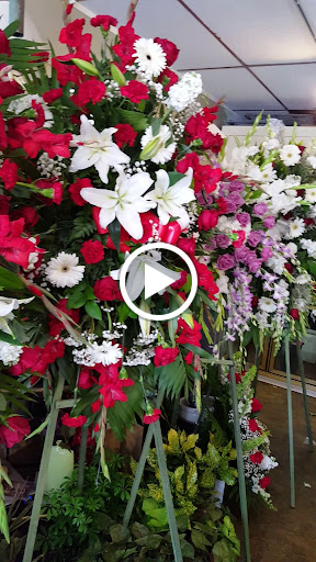 Florist «Fleur De Lis Florist», reviews and photos, 811 Castro St, Mountain View, CA 94041, USA