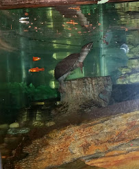 Fins and Skins - Photo 4 - Car repair in Pinellas Park, FL, St. Petersburg