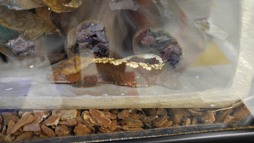 Pet Supply Store «Petco Animal Supplies», reviews and photos, 10383 Reisterstown Rd, Owings Mills, MD 21117, USA