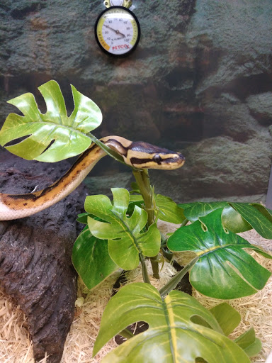 Pet Supply Store «Petco Animal Supplies», reviews and photos, 777 Stillwater Ave, Bangor, ME 04401, USA