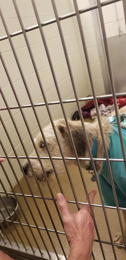 Non-Profit Organization «Heartland Humane Society», reviews and photos, 398 SW Twin Oaks Cir, Corvallis, OR 97333, USA