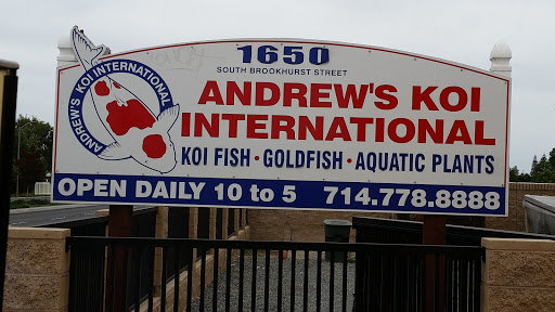Andrew's Koi International - Imported Japanese Koi