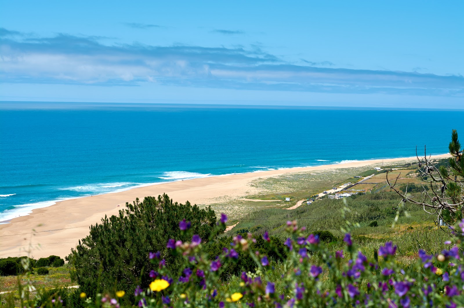 Foto de North Beach com areia bege fina superfície