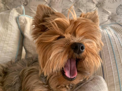 English Creek Supply, 3088 English Creek Ave, Egg Harbor Township, NJ 08234, USA, 