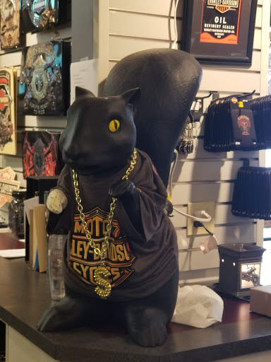 Harley-Davidson Dealer «Carlton Harley-Davidson», reviews and photos, 11771 OH-44, Mantua, OH 44255, USA