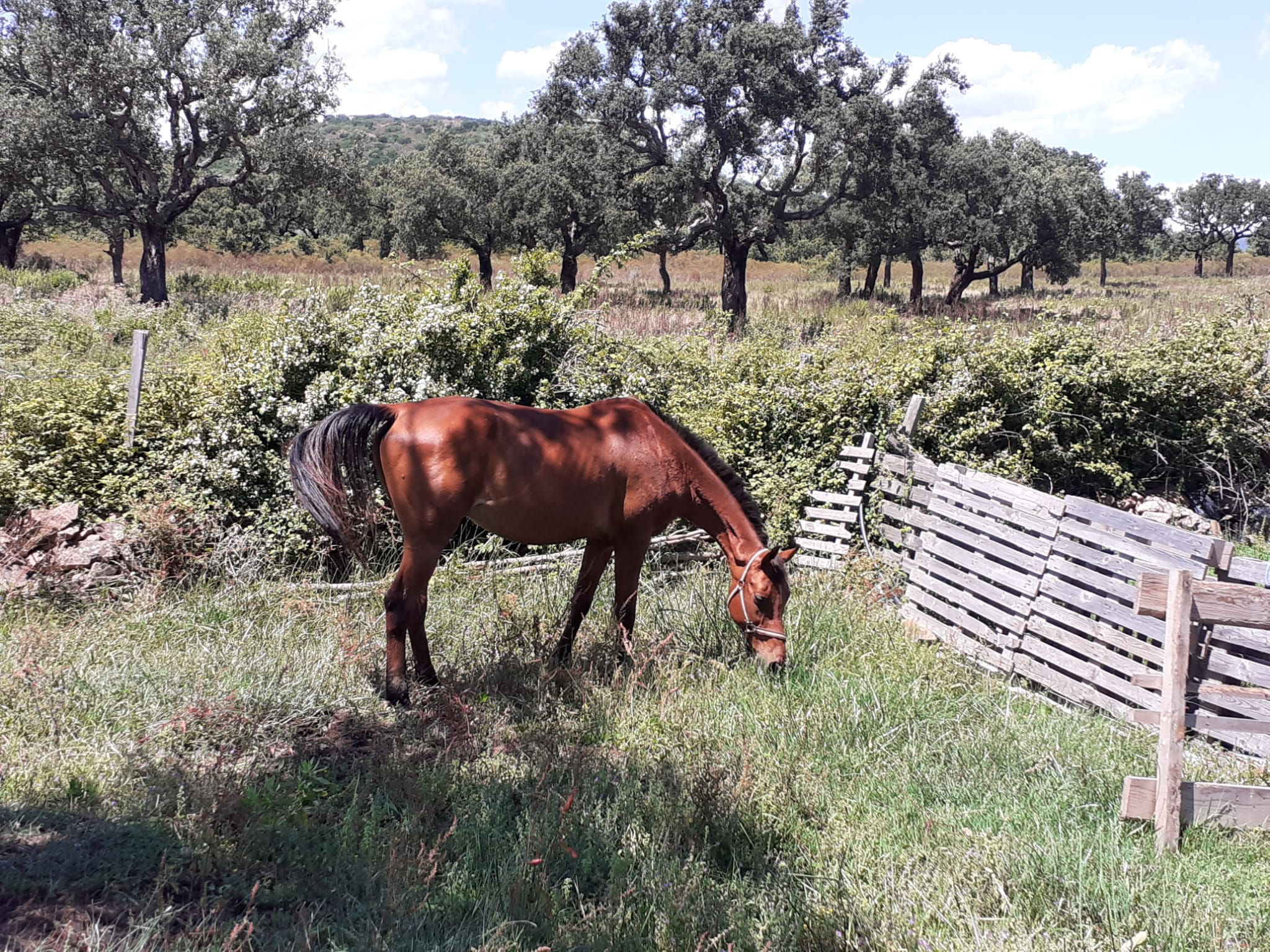 Photo n° 1 de l'avis de Dario.u fait le 18/06/2020 à 17:41