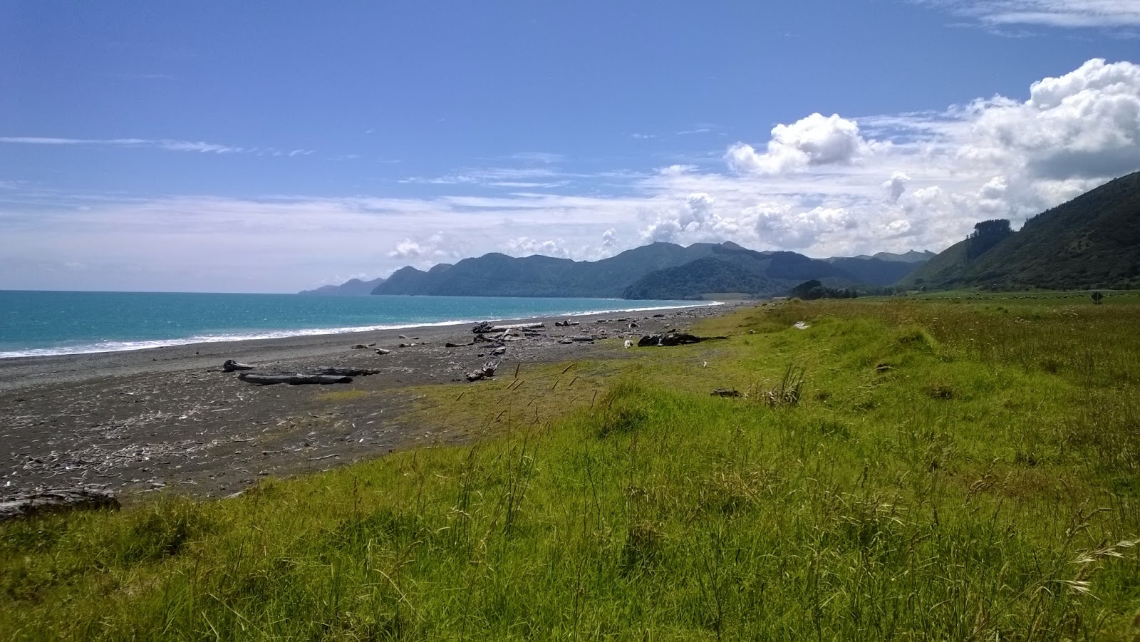 Photo of Waiotahe Beach - popular place among relax connoisseurs