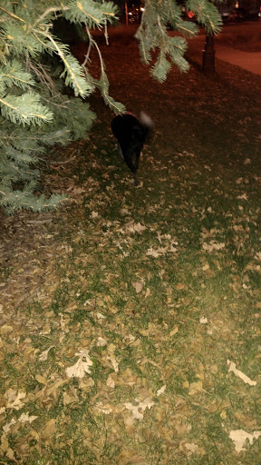 Park «Benedict Fountain Park», reviews and photos, 401 E 20th Ave, Denver, CO 80205, USA