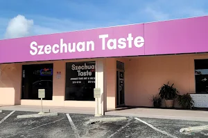 Szechuan Taste image