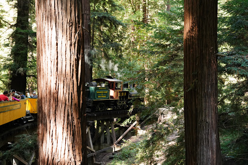 Amusement Park «Roaring Camp Railroads», reviews and photos, 5401 Graham Hill Road, Felton, CA 95018, USA