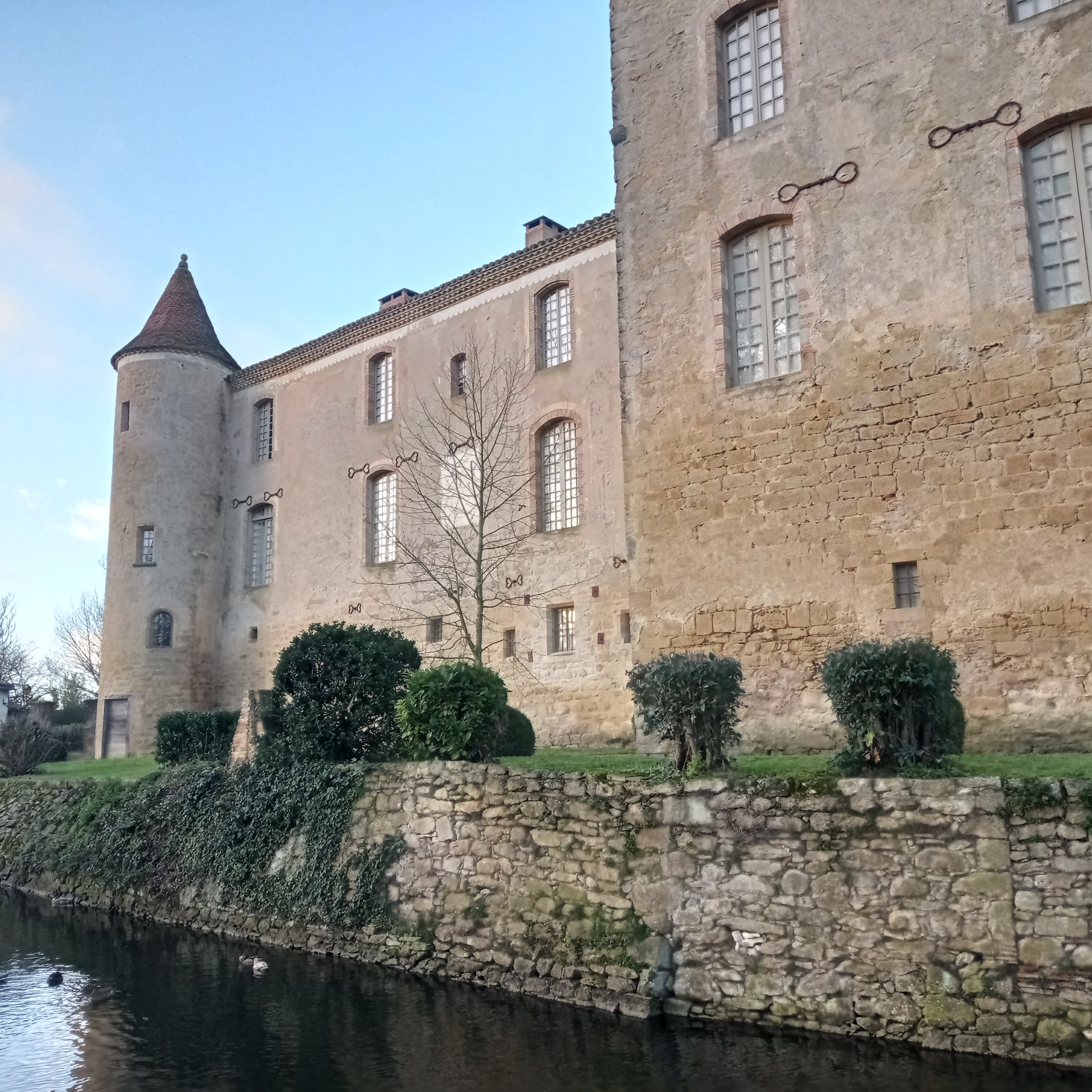 Photo n° 1 de l'avis de Patrick.e fait le 11/01/2023 à 17:12