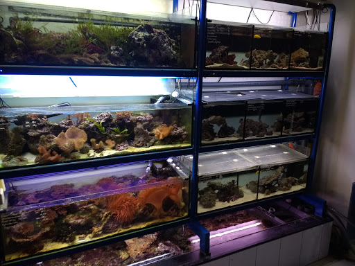 Ralf Vogel Aquaristik Inh. Ralf Vogel unter Bremen, 