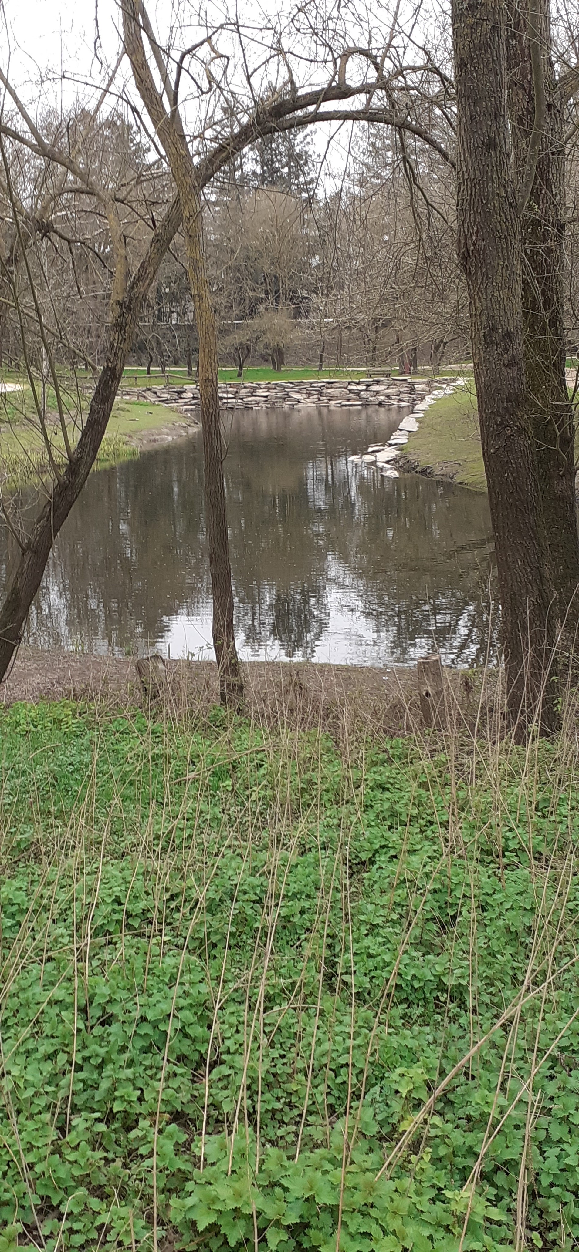 Photo n° 2 de l'avis de Rodolphe.o fait le 21/03/2021 à 18:22