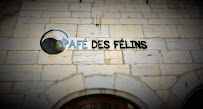 Photos du propriétaire du Restaurant Café des Félins à Besançon - n°3