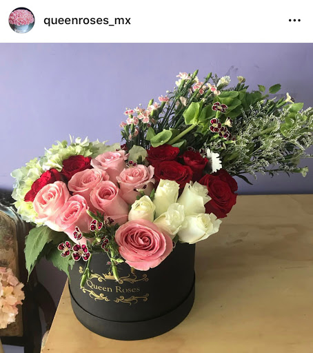 Queen Roses – Guamúchil