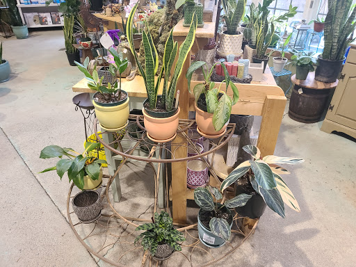 Garden Center «Victoria Gardens», reviews and photos, 1 Cottekill Rd, Rosendale, NY 12472, USA