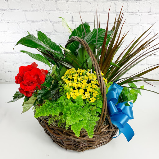 Florist «Ashland Addison Florist», reviews and photos, 3118 N Lincoln Ave, Chicago, IL 60613, USA