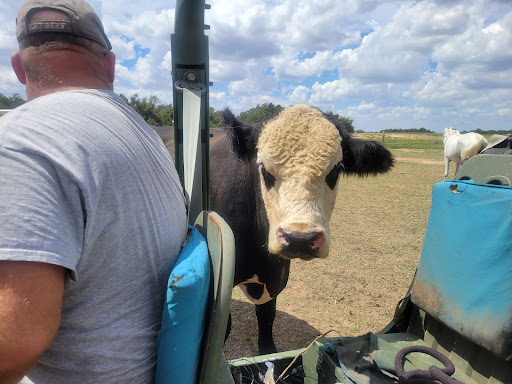 Crescent Veterinary Hospital