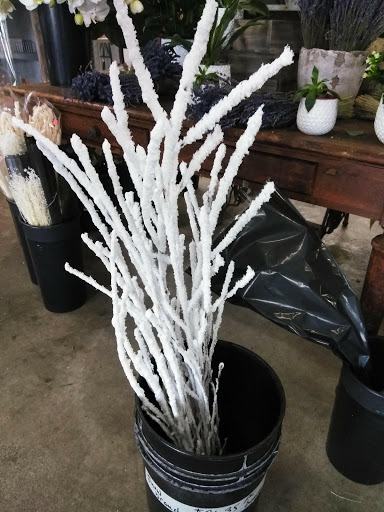 Florist «San Antonio Flower Co», reviews and photos, 7538 Broadway St, San Antonio, TX 78209, USA