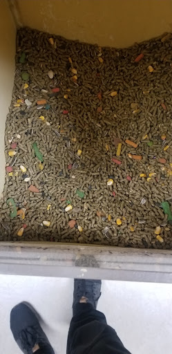 Pet Store «Pet Source 1901», reviews and photos, 1901 W 8th St B, Los Angeles, CA 90057, USA