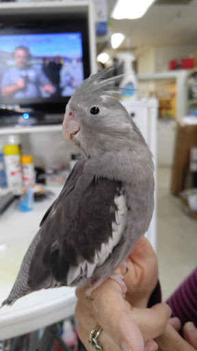 Pet Supply Store «Pet World», reviews and photos, 6527 Centralia Rd, Chesterfield, VA 23832, USA