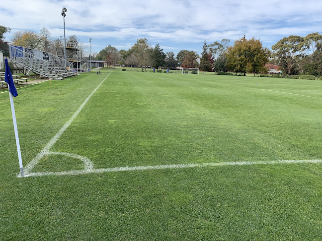 Wanderers Sports Club (Hamilton) Incorporated