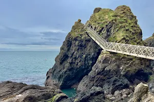 The Gobbins Cliff Path image