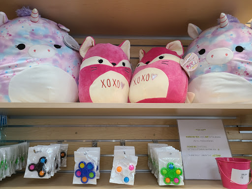 Toy Store «Learning Express», reviews and photos, 8451 Cooper Creek Blvd, University Park, FL 34201, USA