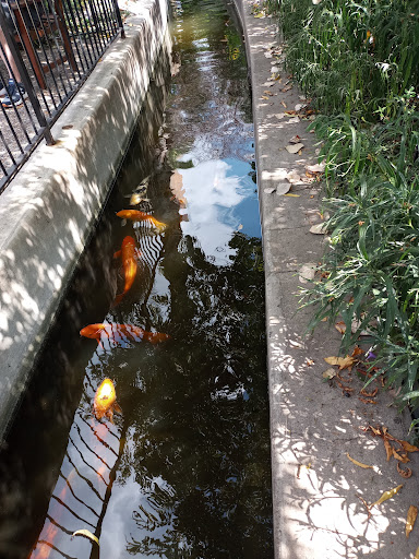 Museum «San Antonio Fire Museum», reviews and photos, 801 E Houston St, San Antonio, TX 78205, USA