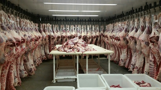 Logo da empresa - Mega Carnes
