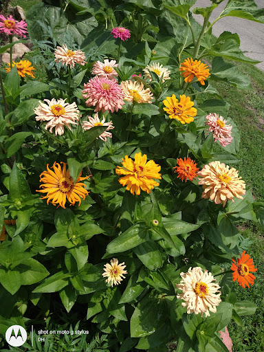 Thrift Store «Second Blessing Thrift Store Inc.», reviews and photos, 2323 Central Ave, Wichita, KS 67214, USA