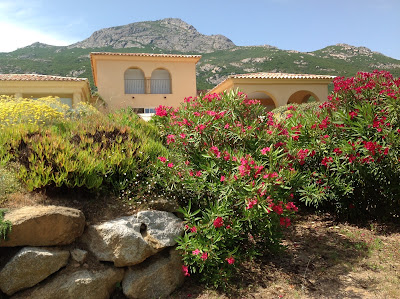 Villa Ondella Calvi à Calvi