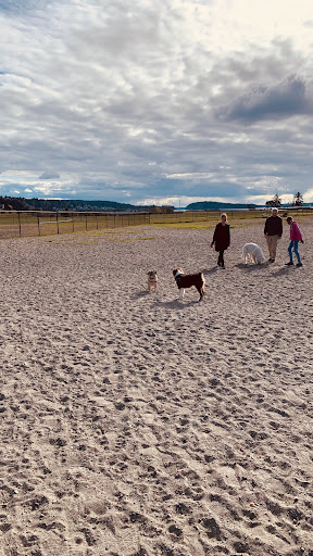 Public Golf Course «Chambers Bay», reviews and photos, 6320 Grandview Dr W, University Place, WA 98467, USA