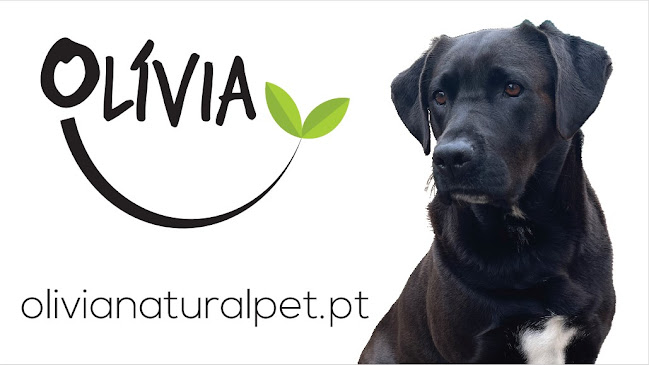 Avaliações doOlívia Natural Pet em Sintra - Veterinário