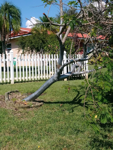 Golf Course «The Tides Golf Club», reviews and photos, 11832 66th Ave N, Seminole, FL 33772, USA